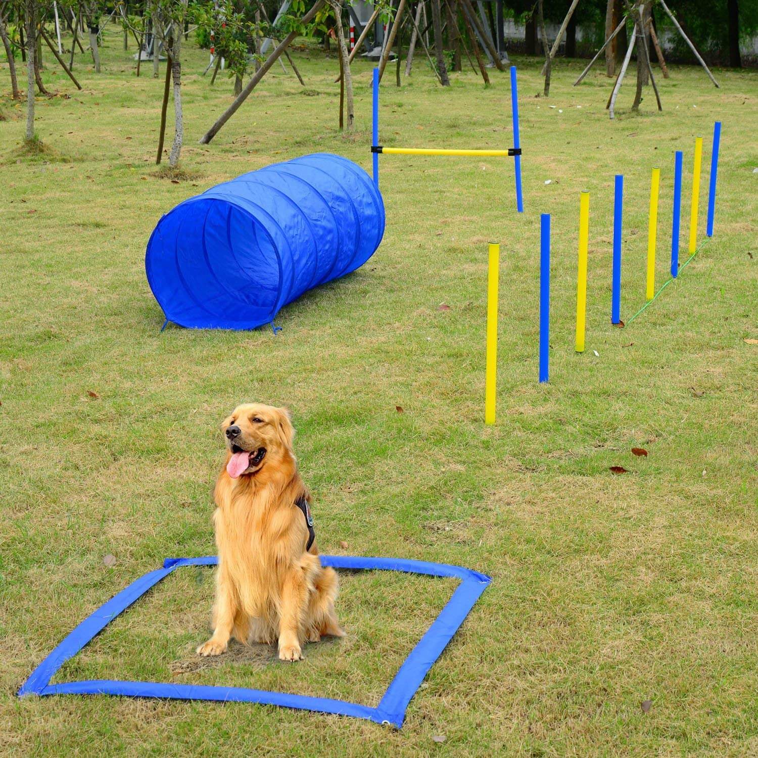 Training platform for dogs