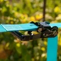 Children's zip line