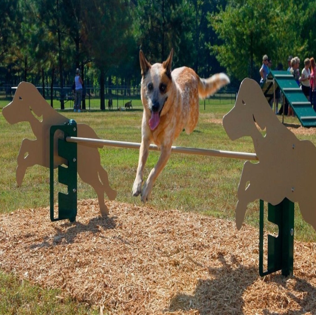 Training platform for dogs