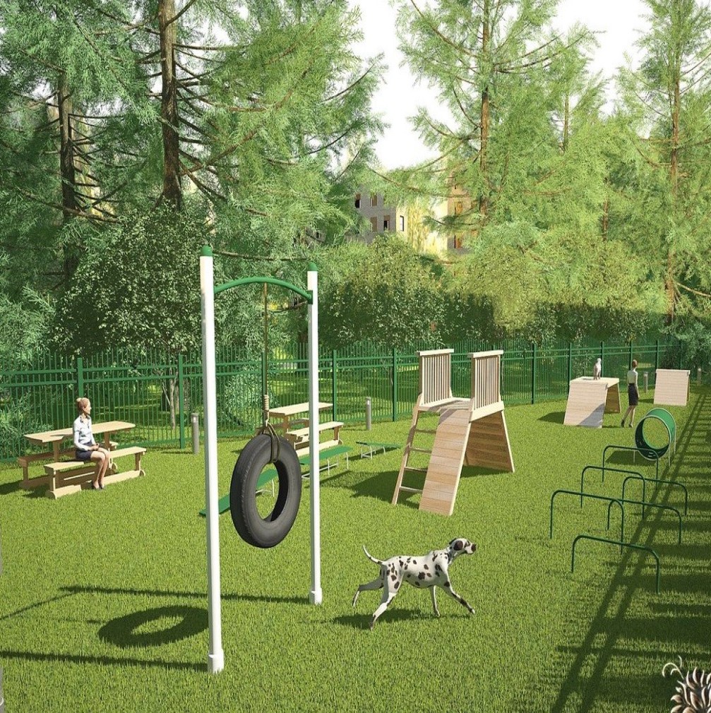 Training platform for dogs