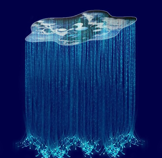 Fiber optic module 