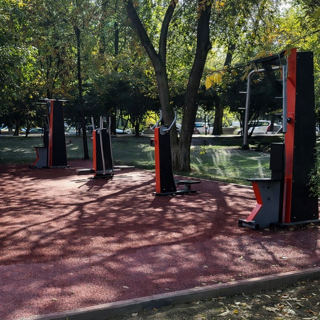 Բուենոս այրես այգու մարզասարքերը