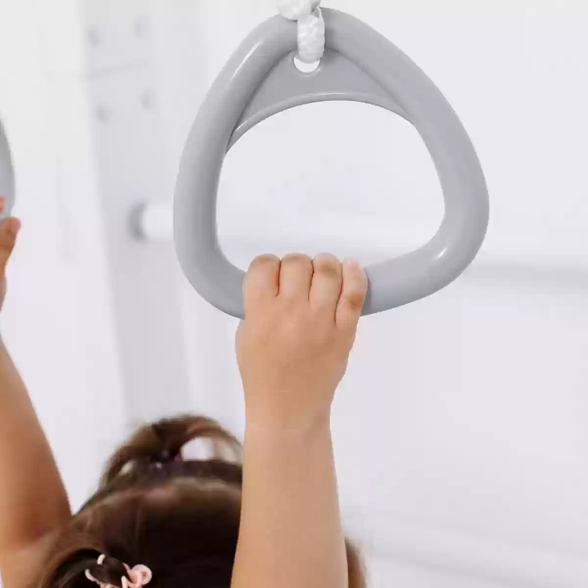 Romana Eco1.1 շվեդական պատ