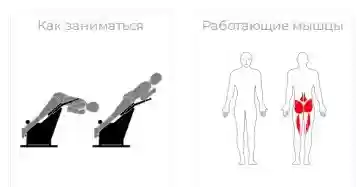 Romana բակային մարզասարք Մեջքի մարզում 207.04.05՝ կապույտ/սպիտակ