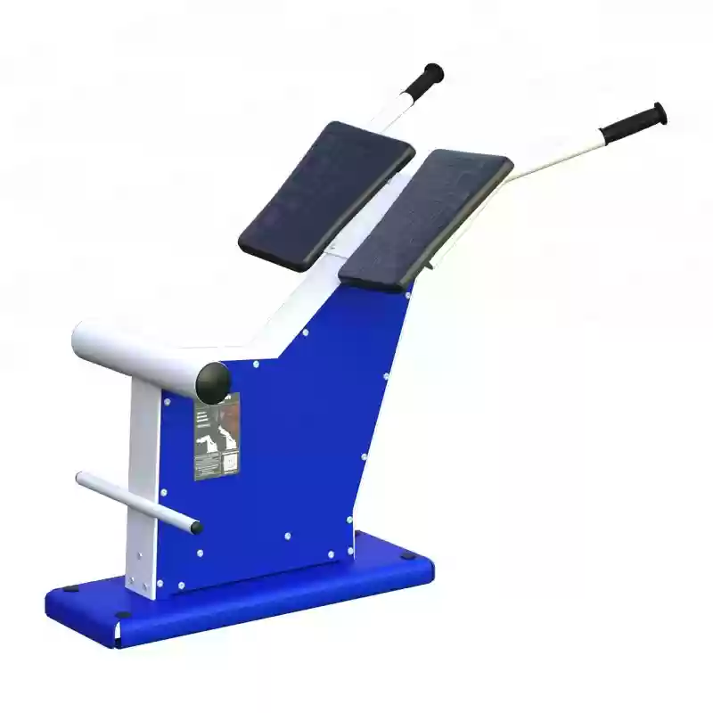 Մեջքի մարզում 207.04.05