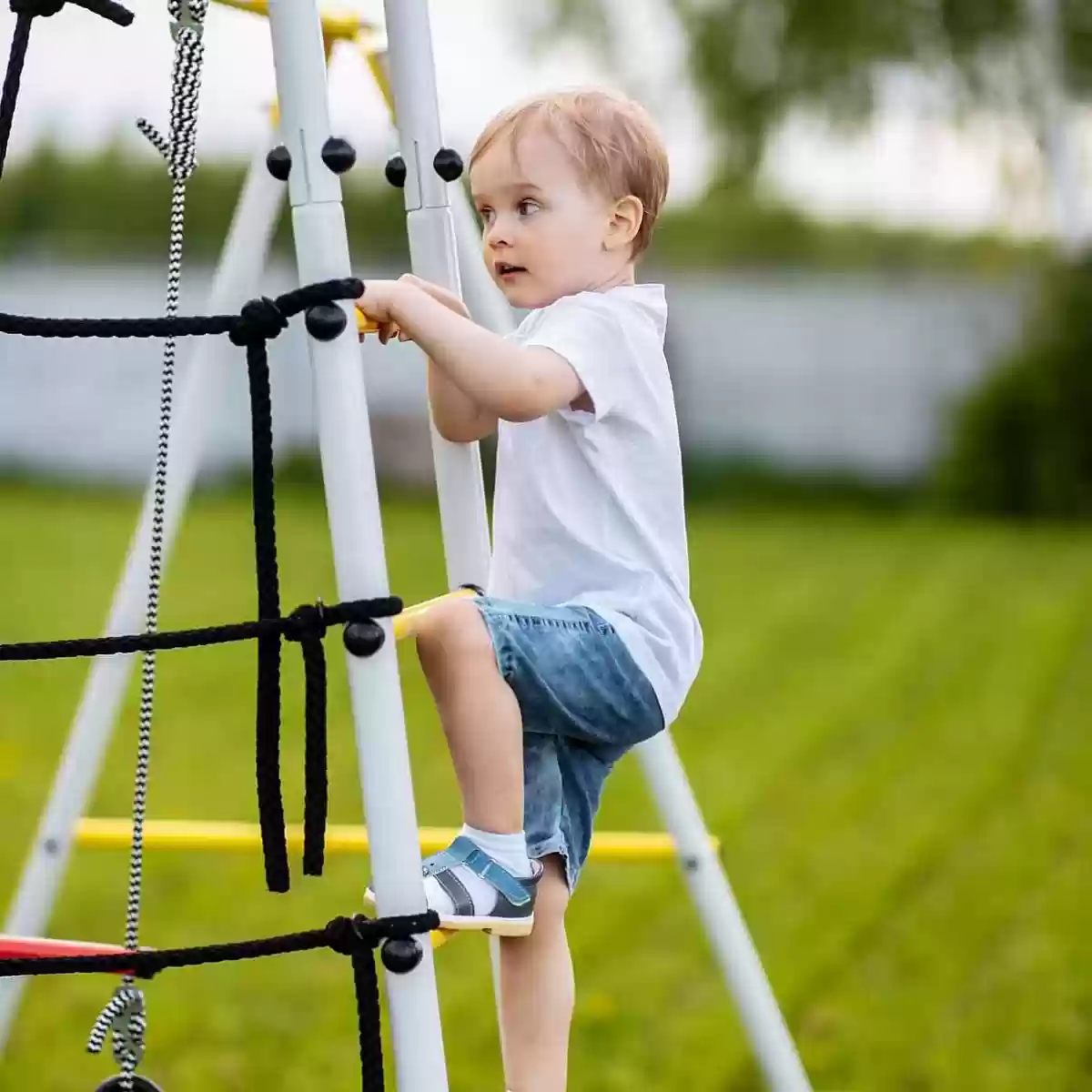 Հավաքածու Կոսմոս