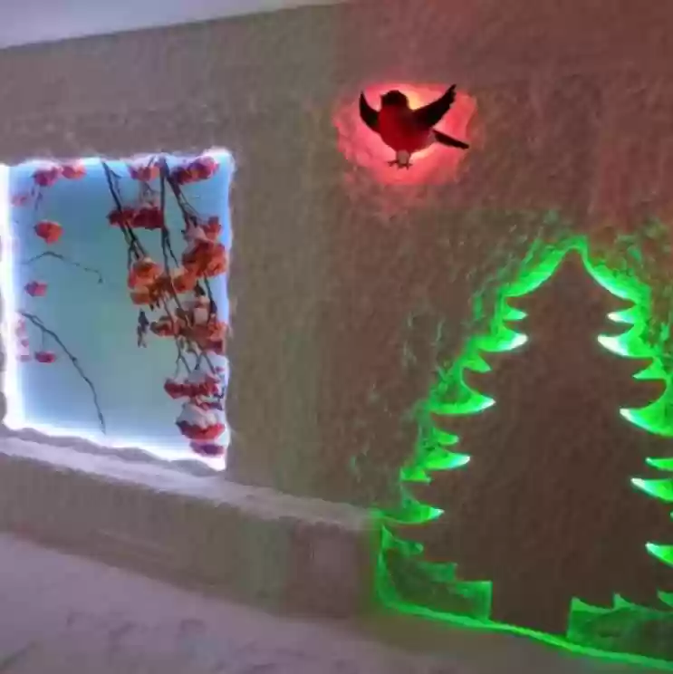 Աղե սենյակ 14