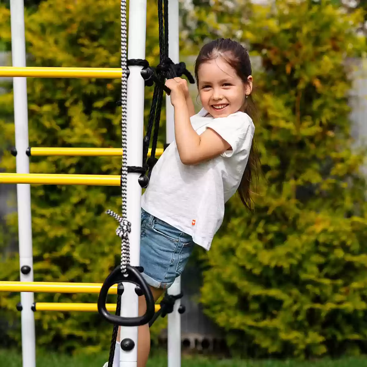 Հավաքածու Բոգատիր MAX Հերոս ՄԱՔՍ Պլյուս-2 