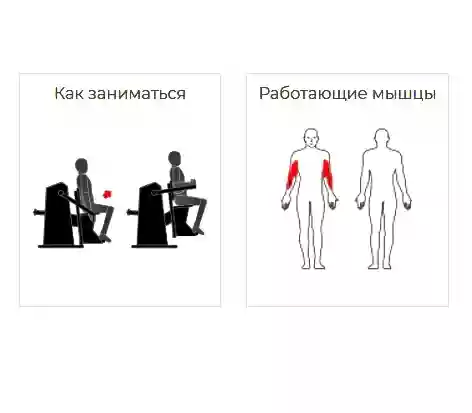 Romana բակային մարզասարք Բիցեպս 207.44.10