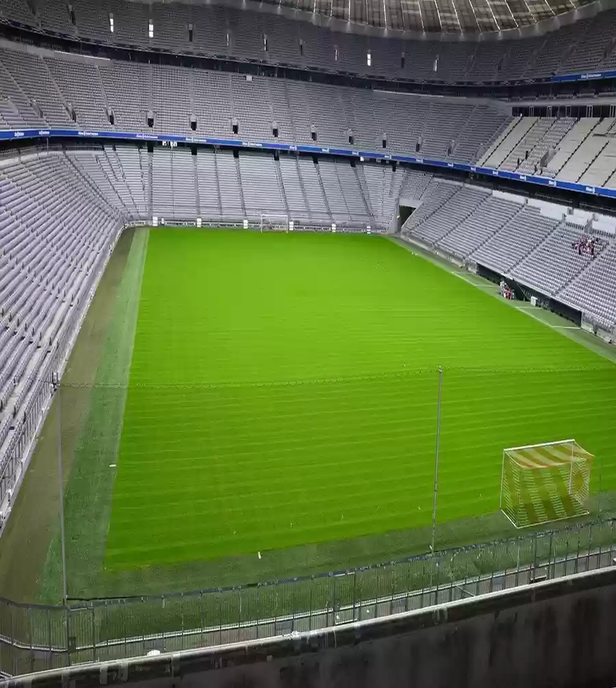 Մարզադաշտերի կառուցում