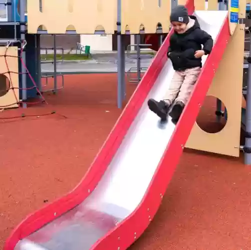 Բակային սղարաններ 