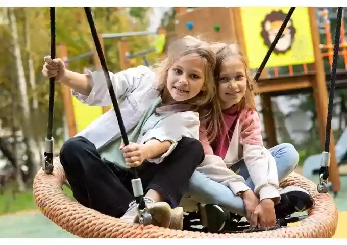 Ճոճանակ 1191 Romana